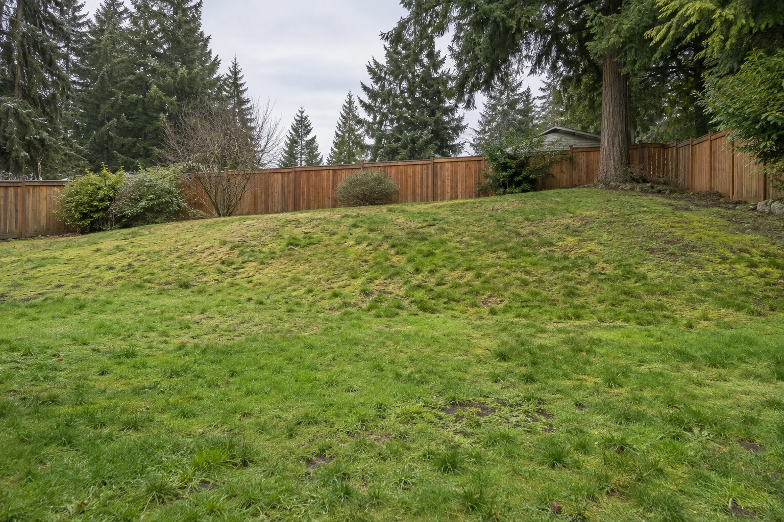 Before concept: a patchy grassy hillside with an uneven slope